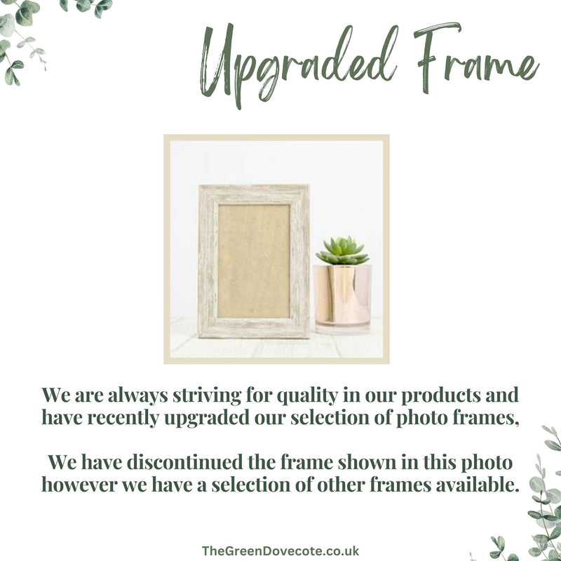 a white frame with a green plant in it