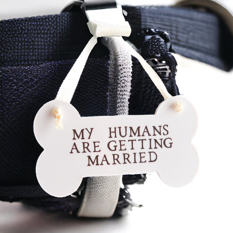 My Humans Are Getting Married - Wedding Bone Gift - Dog Lover Keepsake - Dog Wedding Day Decoration - Dog Mum Gift - Dog Owners Ornament